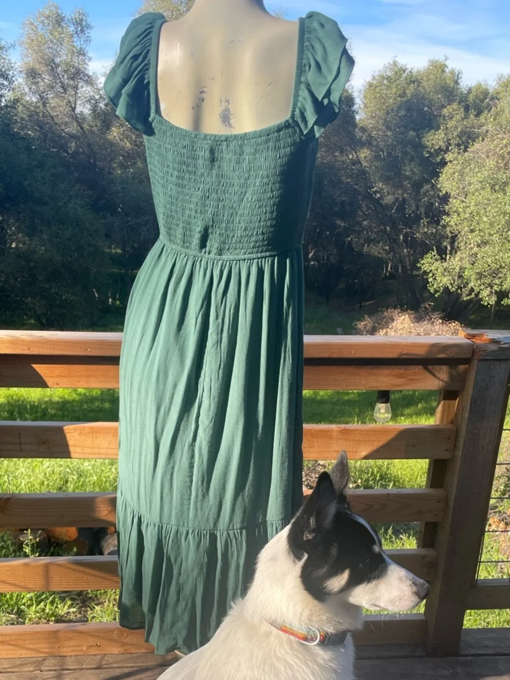 Trixxi Sage Green CottageCore Maxi Dress with Corset Tie and Ruffle Sleeves - Picture 7 of 11